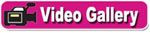 Video Gallery